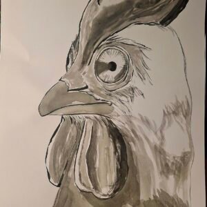 dibujo gallina en tinta