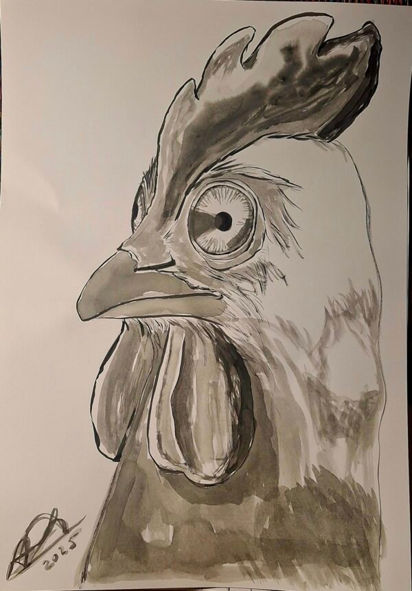 dibujo gallina en tinta